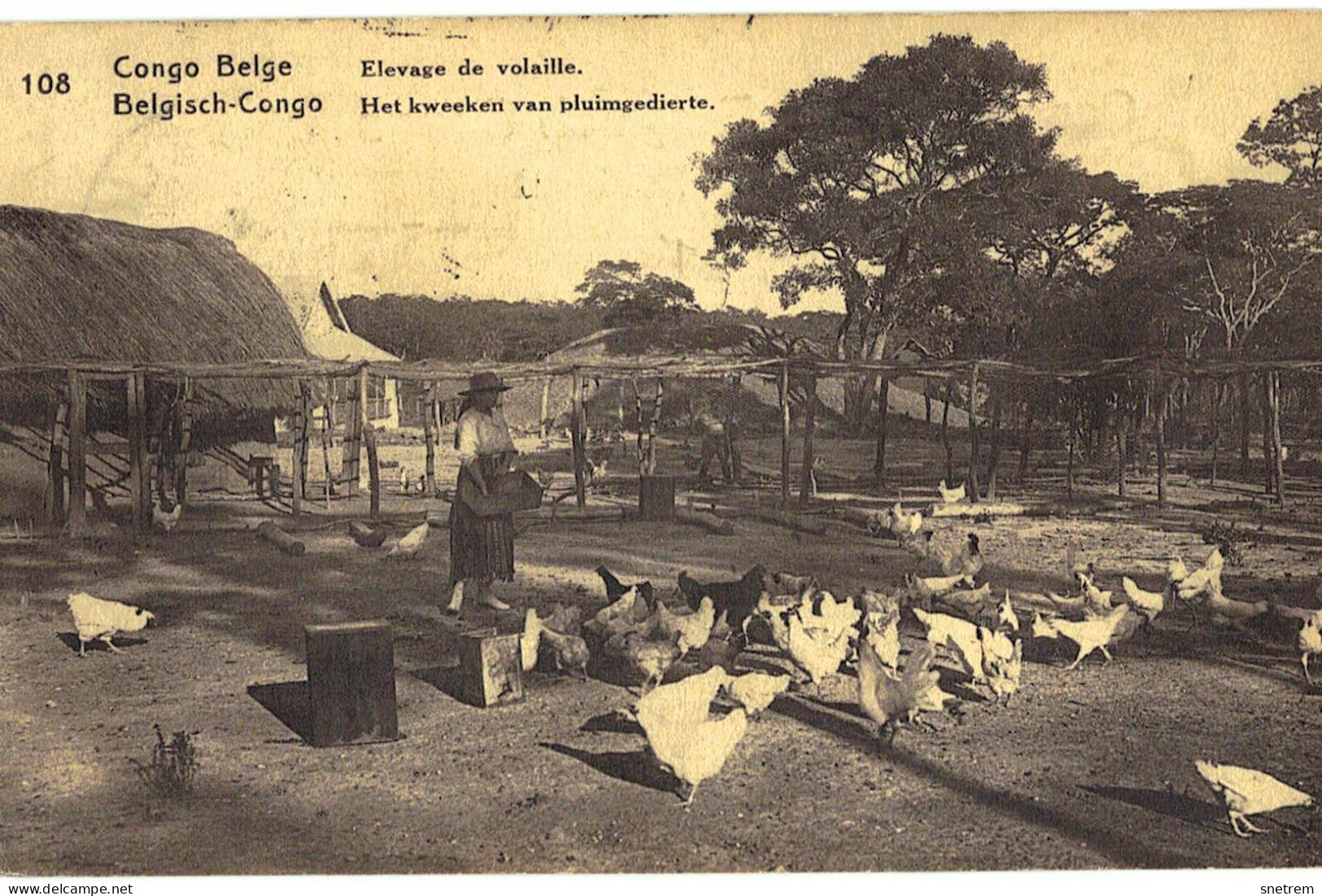 Congo Belge - Carte Prétimbrée No 108 - Elevage De  Volailles - Belgisch-Congo