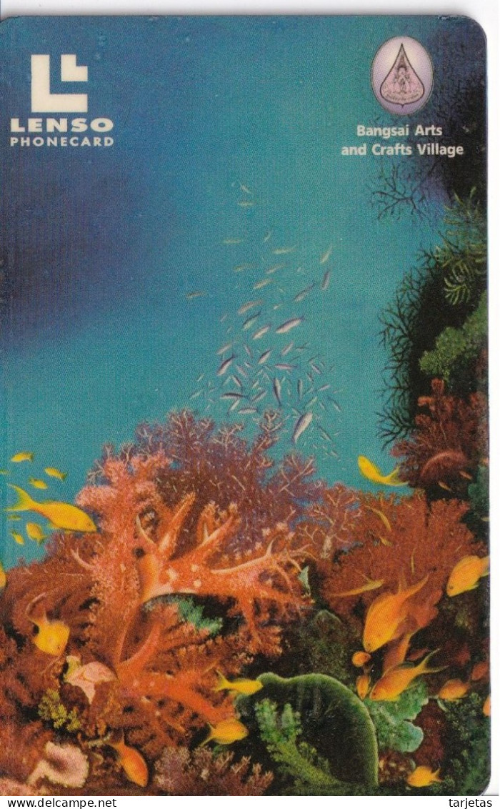 TARJETA DE TAILANDIA DE PECES Y CORAL (FISH-PEZ) - Thaïland