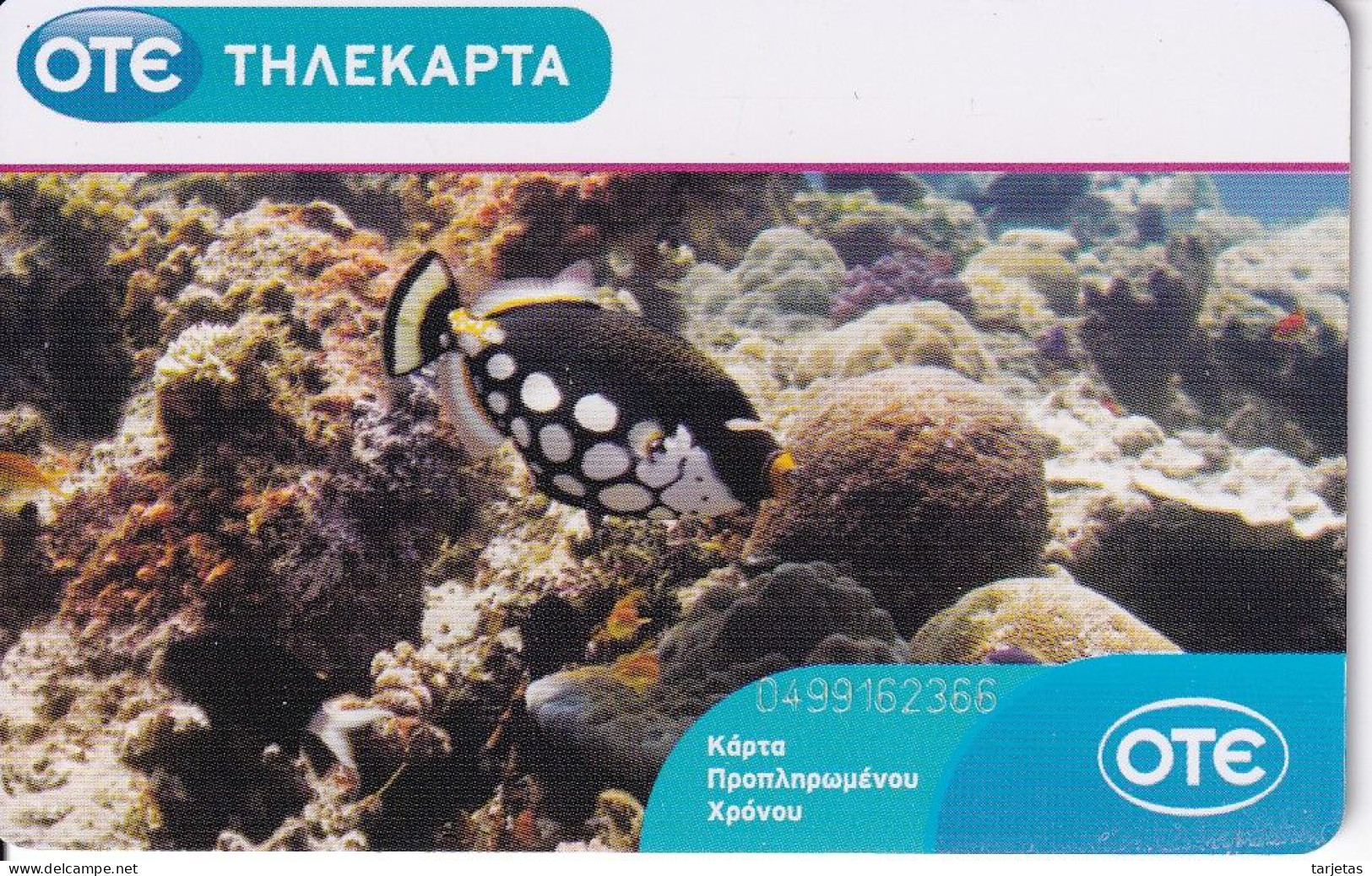 TARJETA DE GRECIA DE UN PEZ  DE COLORES   (PEZ-FISH) - Griekenland