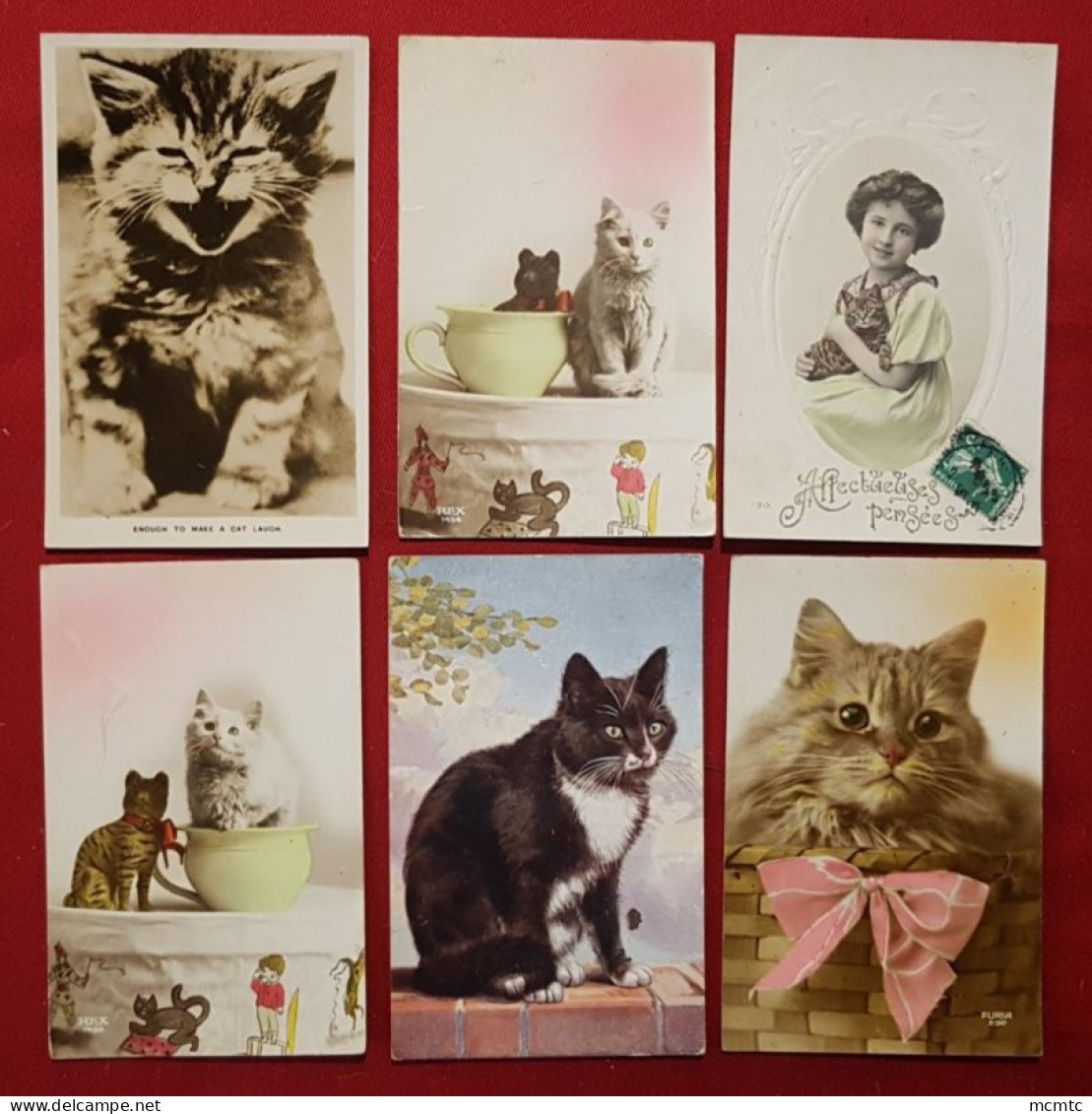 12 Cartes - Chats, Chat - Gatos