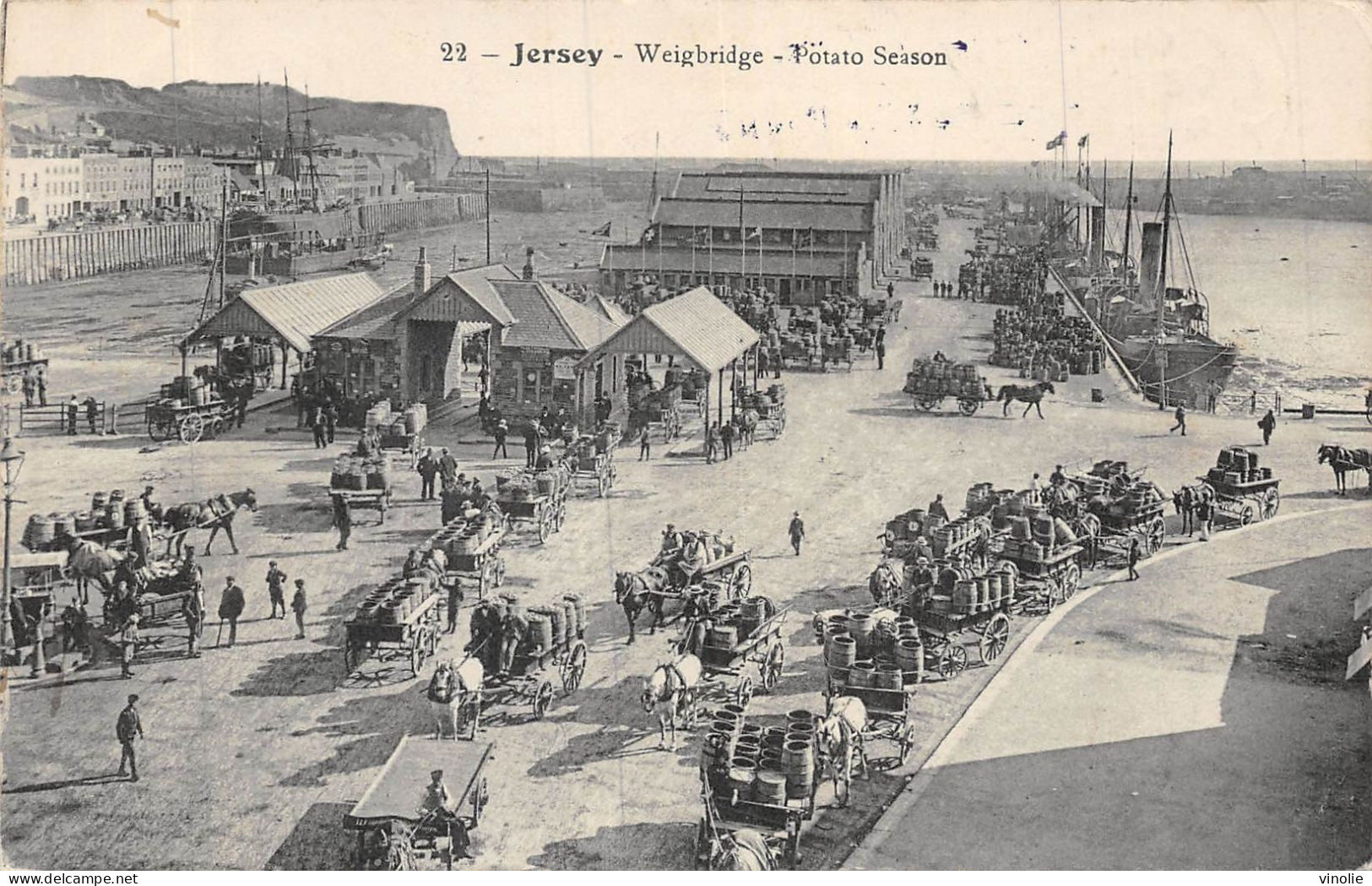 24-4727 : JERSEY. WEIGBRIDGE POTATO SEASON - Sonstige & Ohne Zuordnung