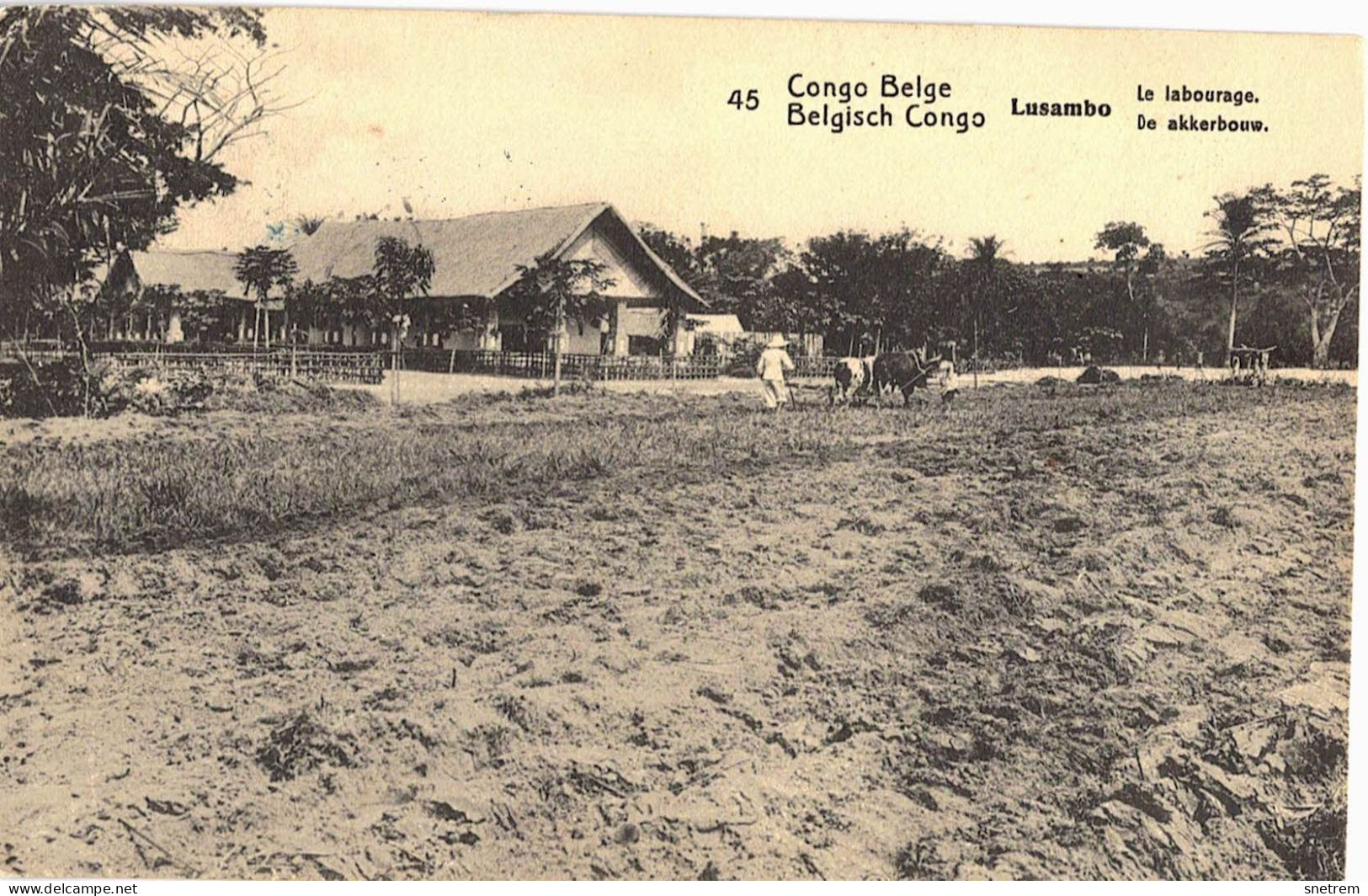 Congo Belge - Carte Prétimbrée No 45 - Lusambo - Le Labourage - Congo Belga