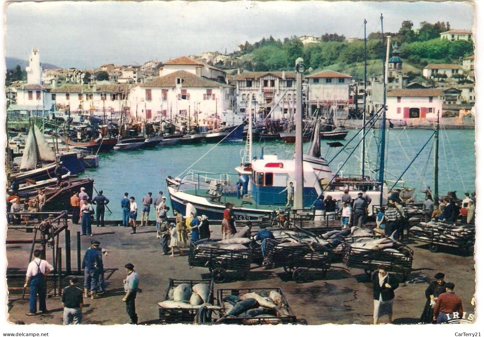 CPSM. 64 SAINT JEAN DE LUZ. MARCHE AUX POISSONS. - Saint Jean De Luz