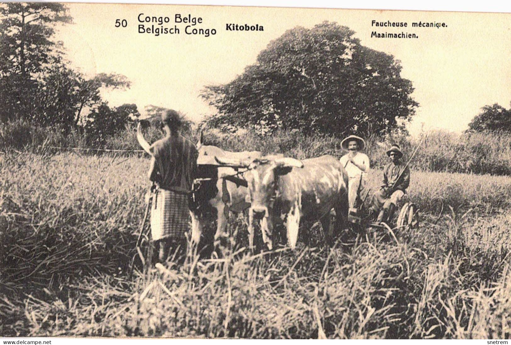 Congo Belge - Carte Prétimbrée No 50 - Kitoboia - Faucheuse Mécanique - Belgian Congo