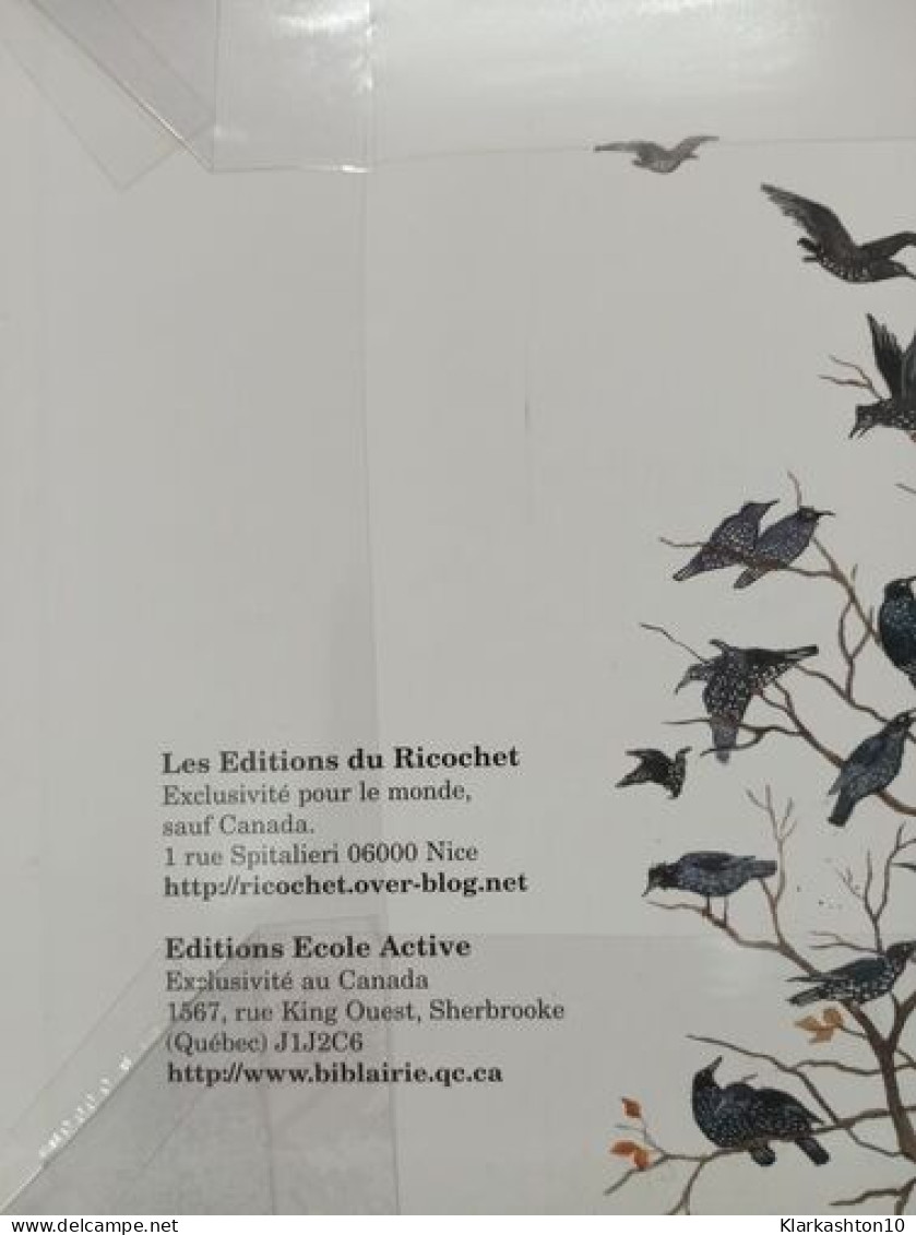 A Vol D'oiseau - La Migration Des Oiseaux: Les Migrations - Other & Unclassified