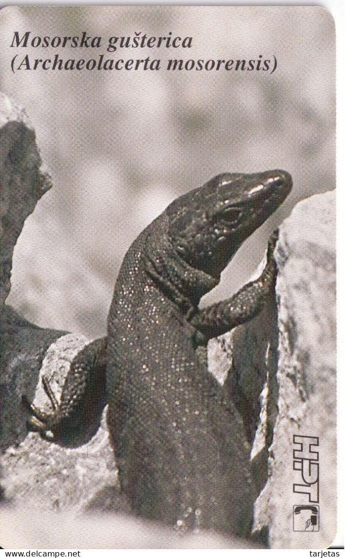 TARJETA DE CROACIA DE UN LAGARTO (LIZARD) - Croatie