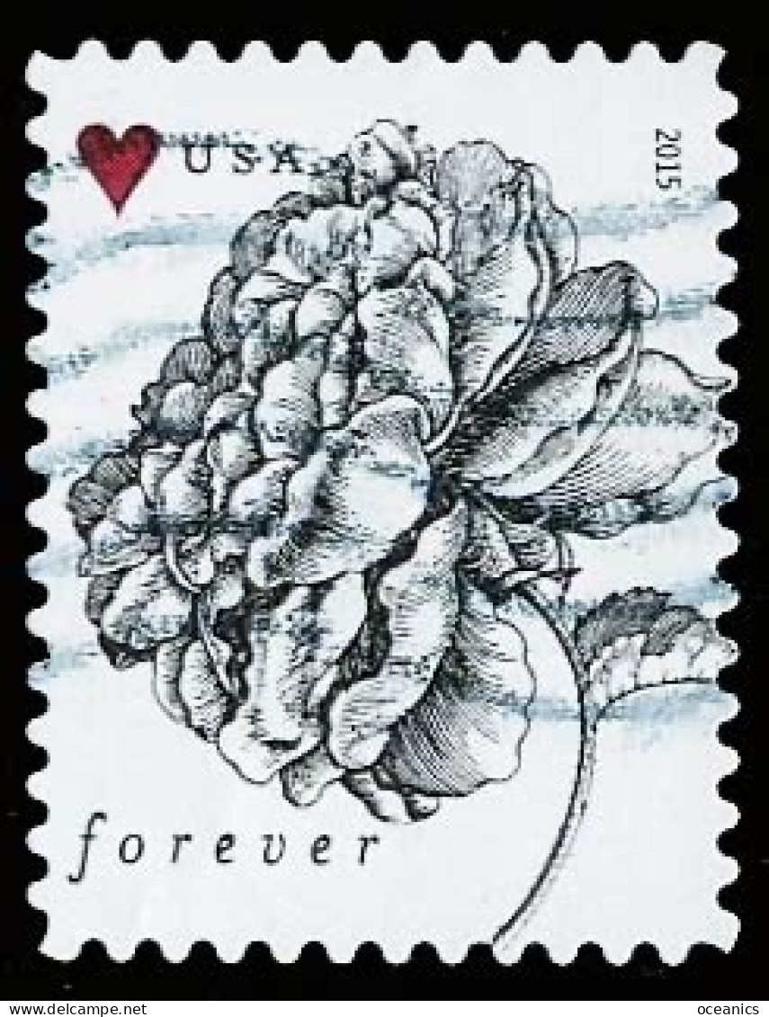 Etats-Unis / United States (Scott No.4959 - Flower) (o) - Gebruikt