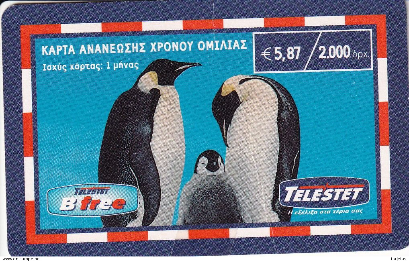 TARJETA DE GRECIA DE UNOS PINGUINOS (PINGUINO-PENGUIN) (pequeña Marca Arruga) - Griekenland