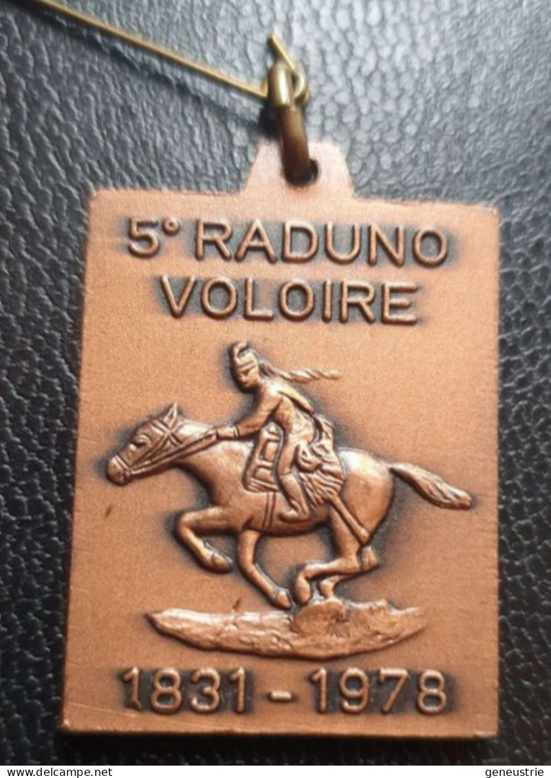 Médaille Militaire Italienne "5° Raduno Voloire / 1831-1978" Régiment D'artillerie à Cheval - Army