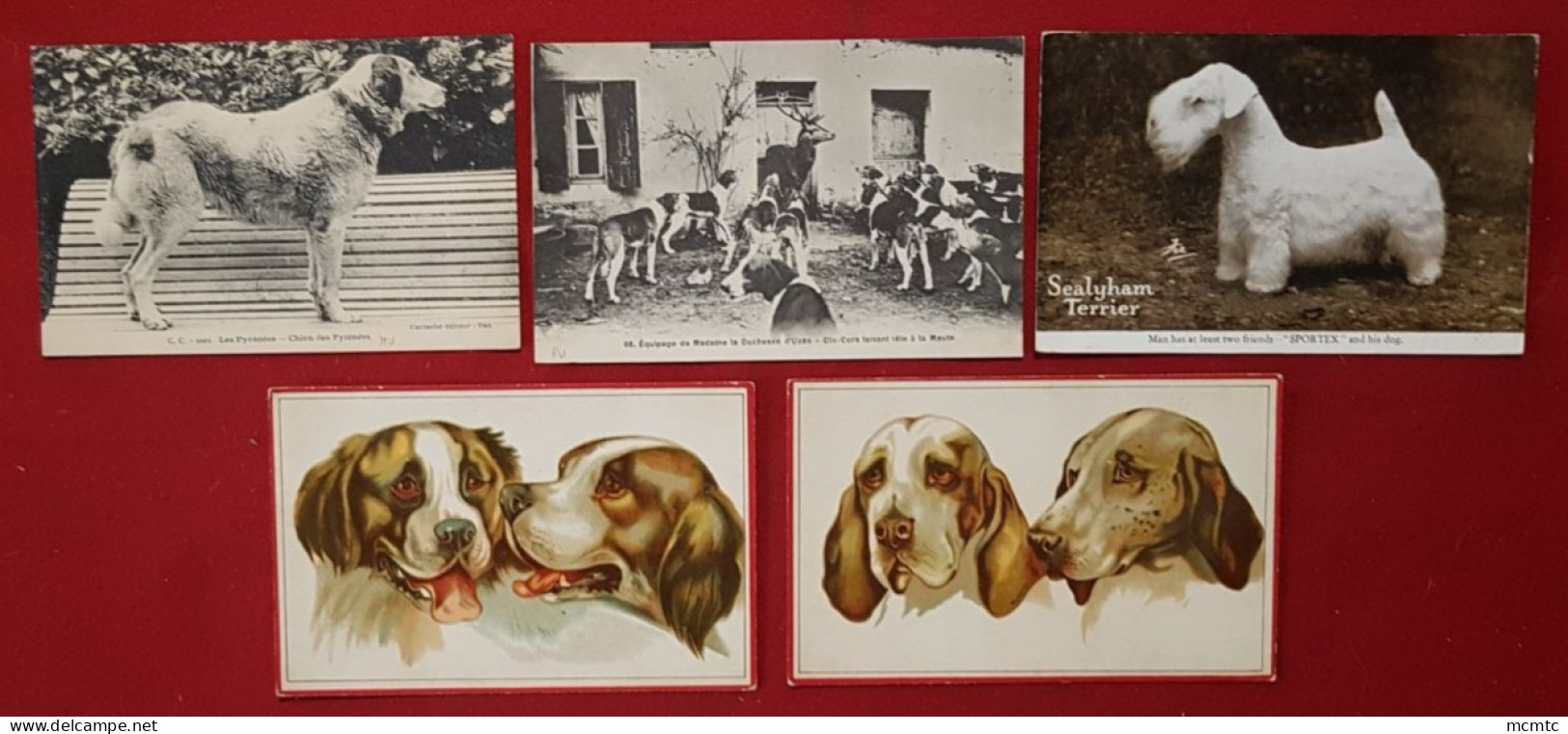 17 Cartes  - Chiens, Chien - Perros