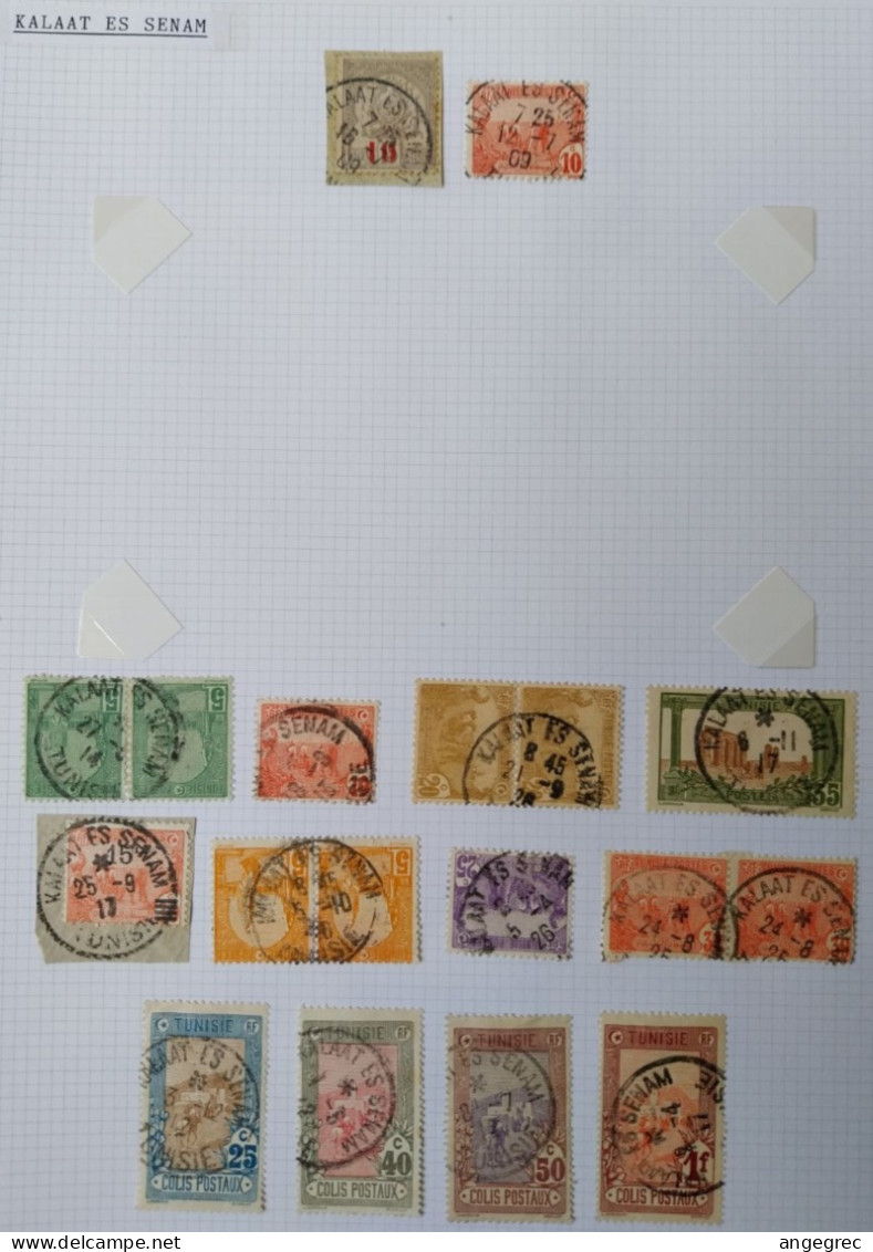 Tunisie Lot Timbre Oblitération Choisies Kalaat Es Senam  Dont Colis Postaux Et Fragment à Voir - Used Stamps