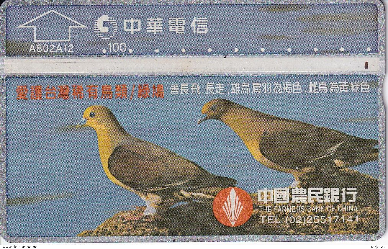 TARJETA DE TAIWAN DE UNAS PALOMAS (PALOMA-PIGEON) 826B - Taiwan (Formosa)