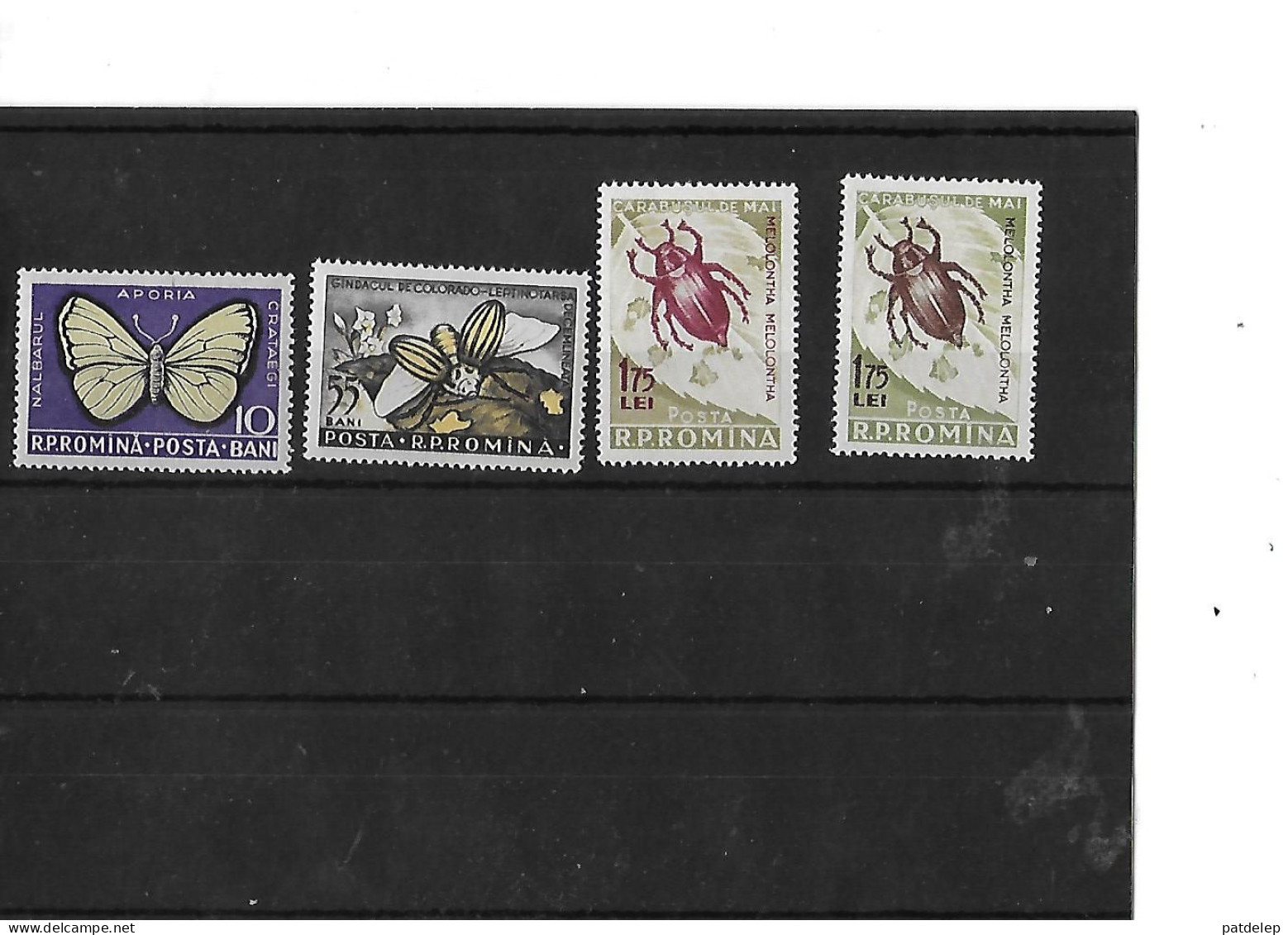 Roumanie Insectes 1956 NSC - Otros & Sin Clasificación