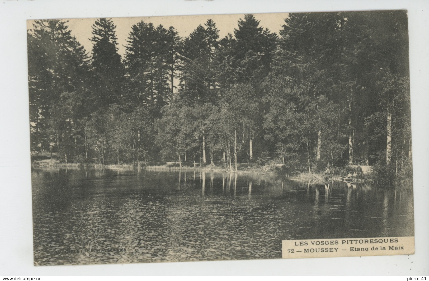 LES HAUTES VOSGES - MOUSSEY - Etang De La Maix - Moussey