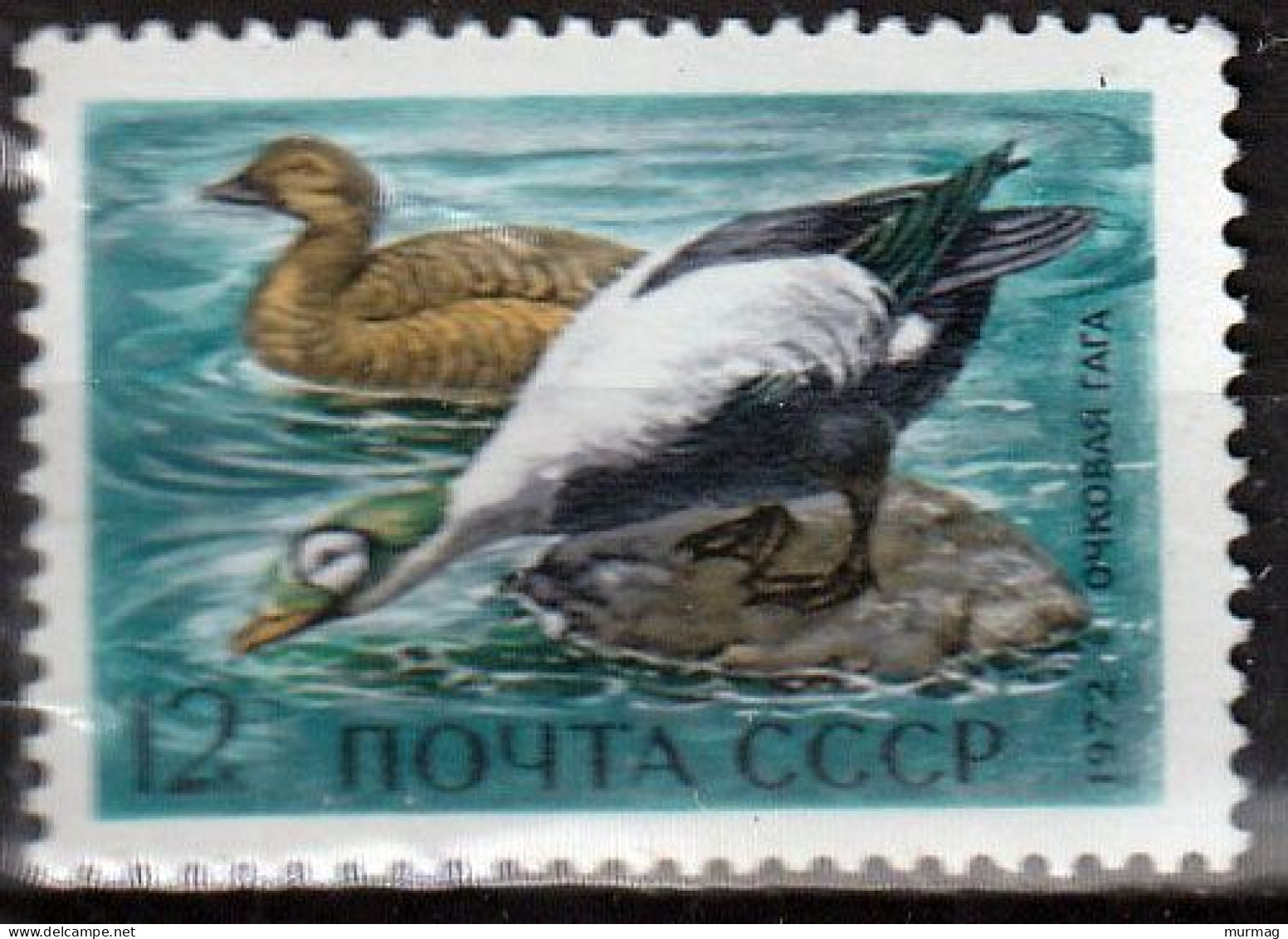 U.R.S.S. - Faune, Canards - 1972 - MNH - Nuovi