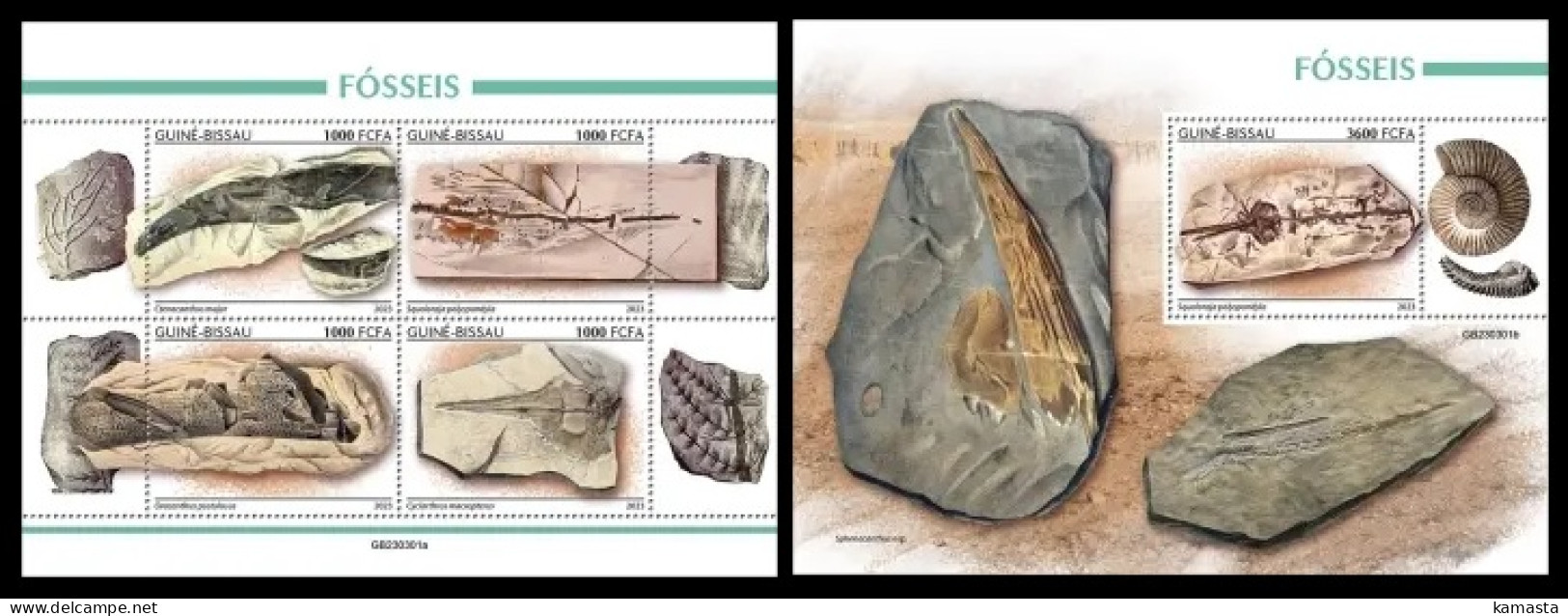 Guinea Bissau 2023 Fossils. (301) OFFICIAL ISSUE - Fossielen