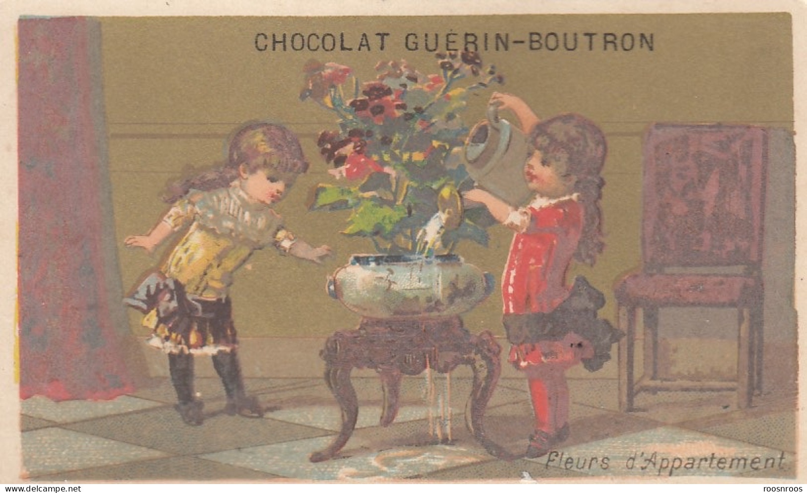 CHROMO CHOCOLAT GUERIN BOUTRON -  FLEURS D'APPARTEMENT - Guerin Boutron