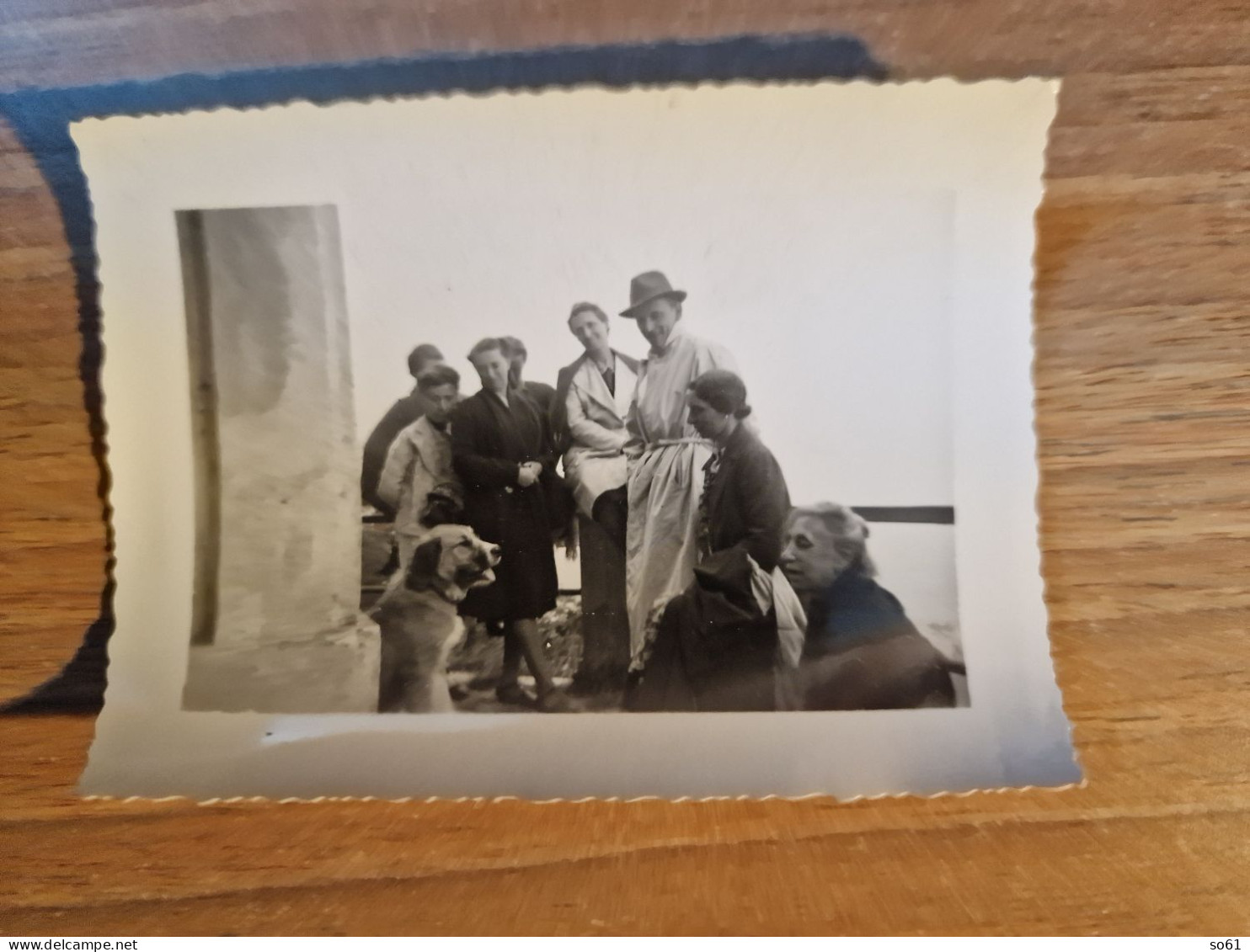 19221.   Fotografia D'epoca Gruppo Persone Cane Aa ' 30 Italia - 10x7 - Personas Anónimos