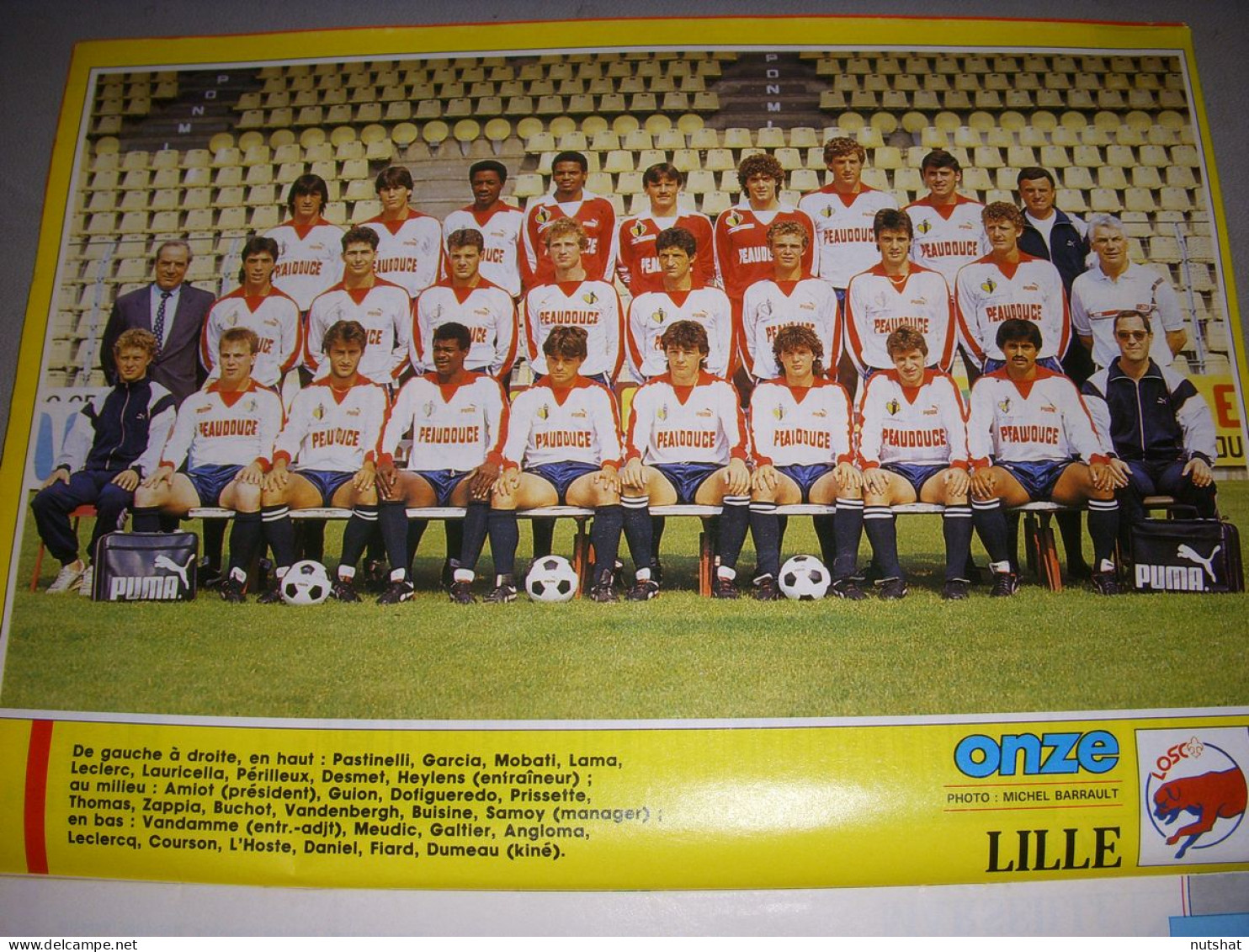 FOOTBALL COUPURE COULEUR 1987-1988 30x20 D1 LILLE LOSC - Sport