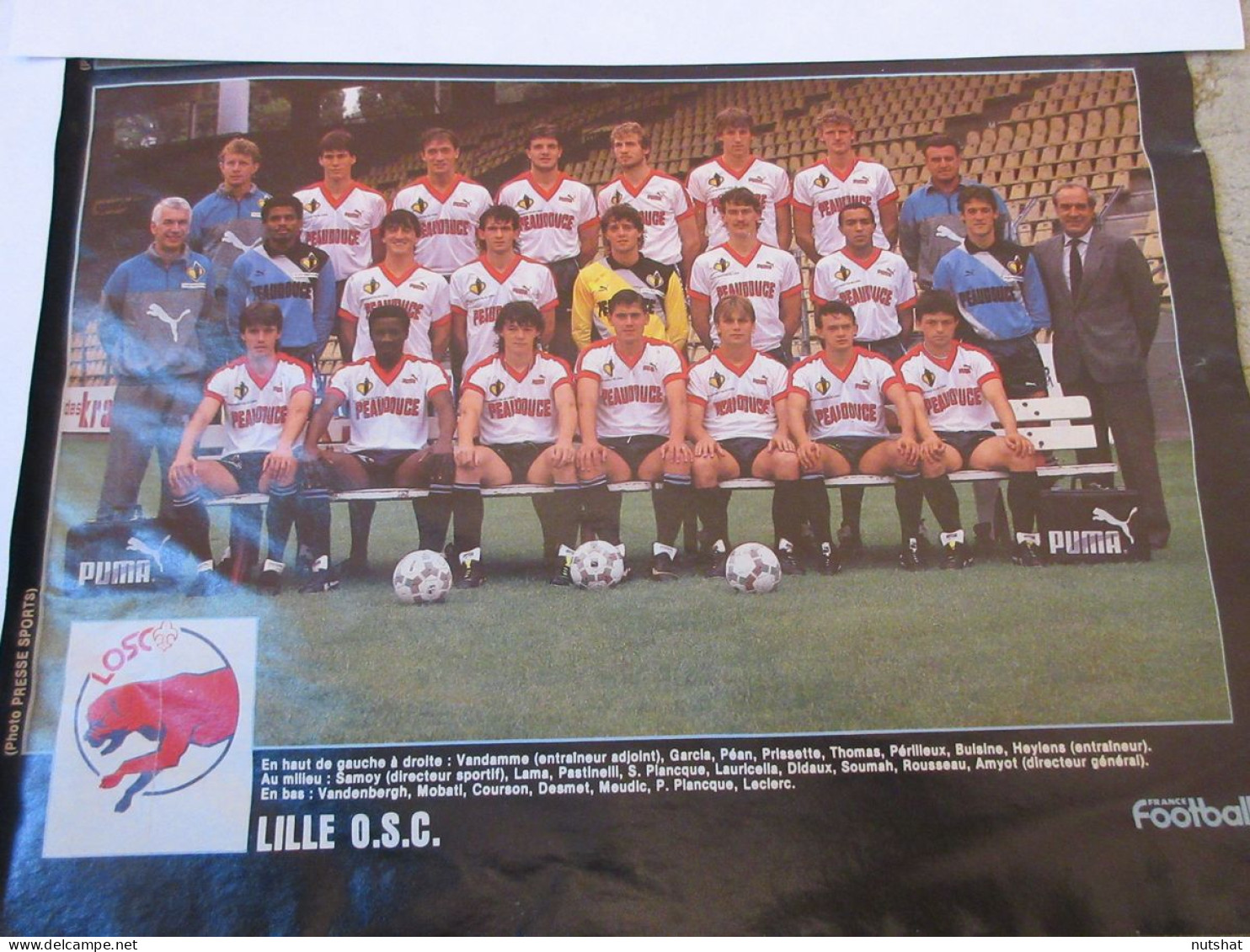 FOOTBALL COUPURE COULEUR 1986-1987 26x18 08 D1 LILLE OSC                       - Deportes