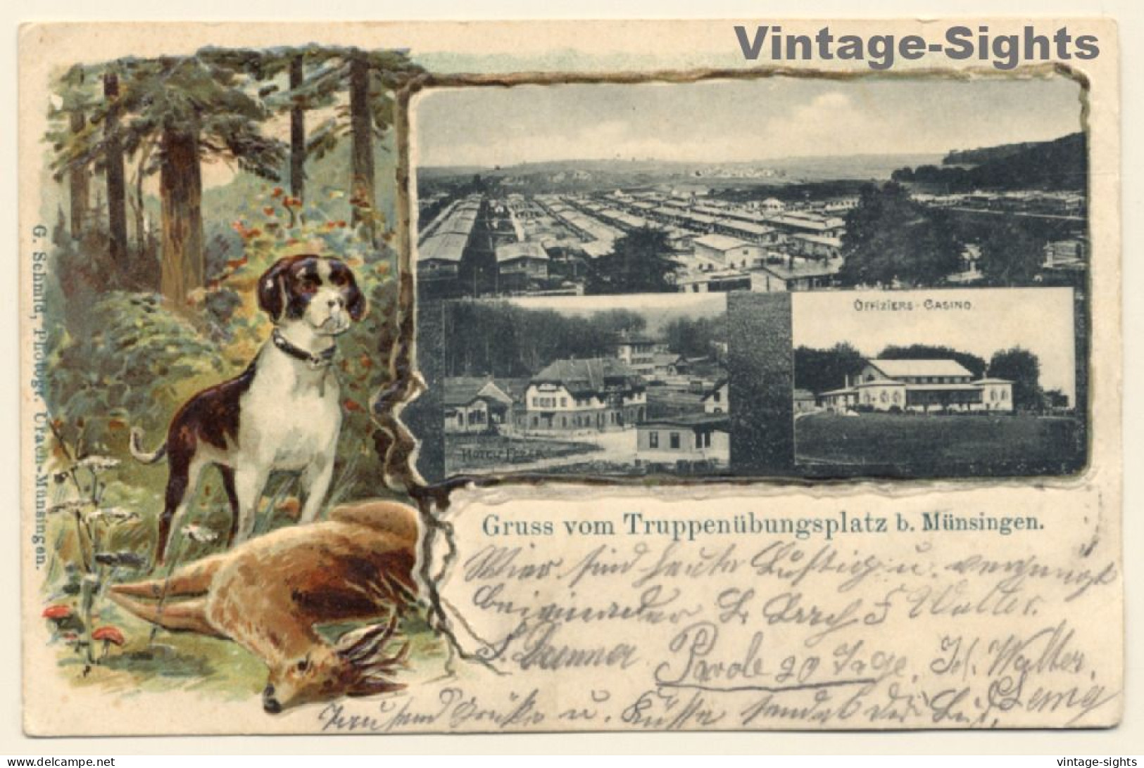 Münsingen: Truppenübungsplatz / Jagdhund - Reh (Vintage PC Litho 1903) - Münsingen