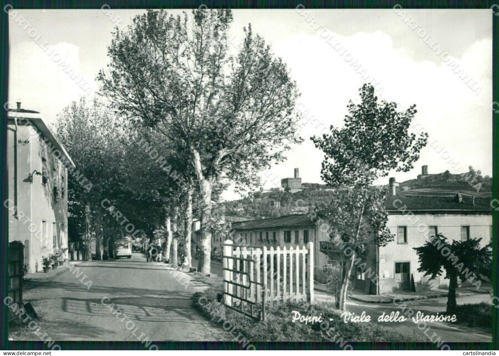 Arezzo Poppi Foto FG Cartolina ZKM8284 - Arezzo