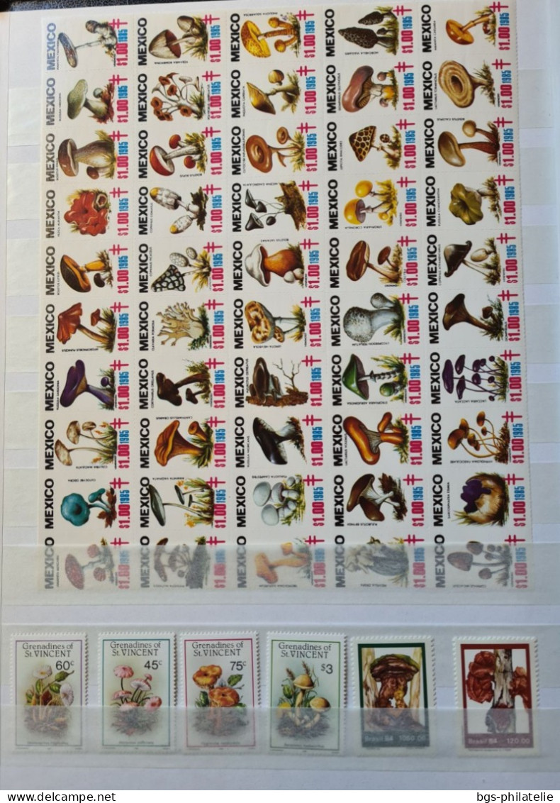 Collection De Timbres Sur Le Thème Des Champignons. - Sammlungen (ohne Album)