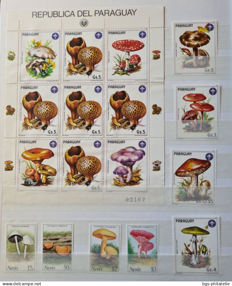 Collection De Timbres Sur Le Thème Des Champignons. - Sammlungen (ohne Album)