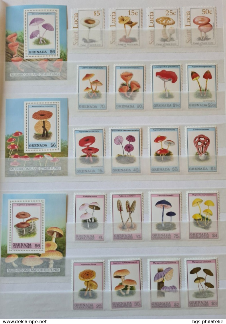 Collection de timbres sur le thème des Champignons.
