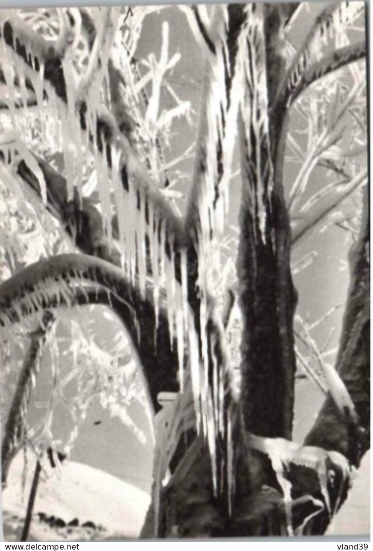 Effet De Glace. Photo B. Grange. Valloire.   1974 - Photographie