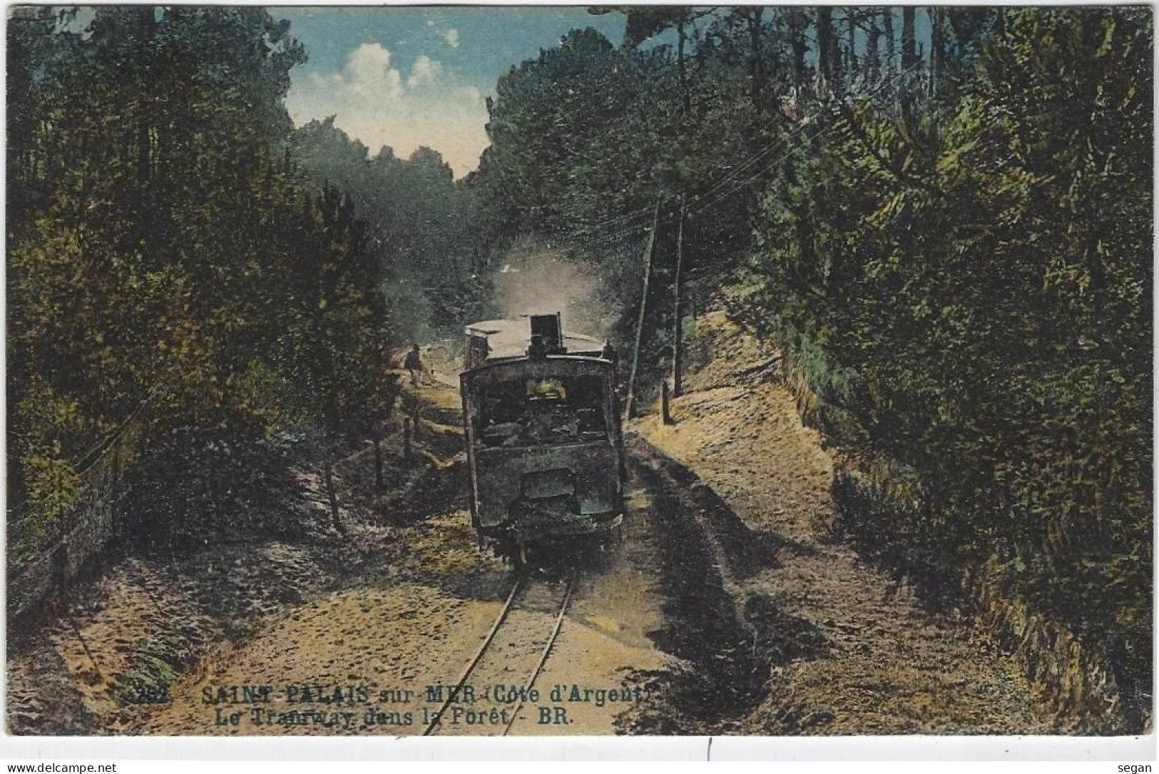 SAINT PALAIS SUR MER   LE TRAMWAY DANS LA FORET - Saint-Palais-sur-Mer