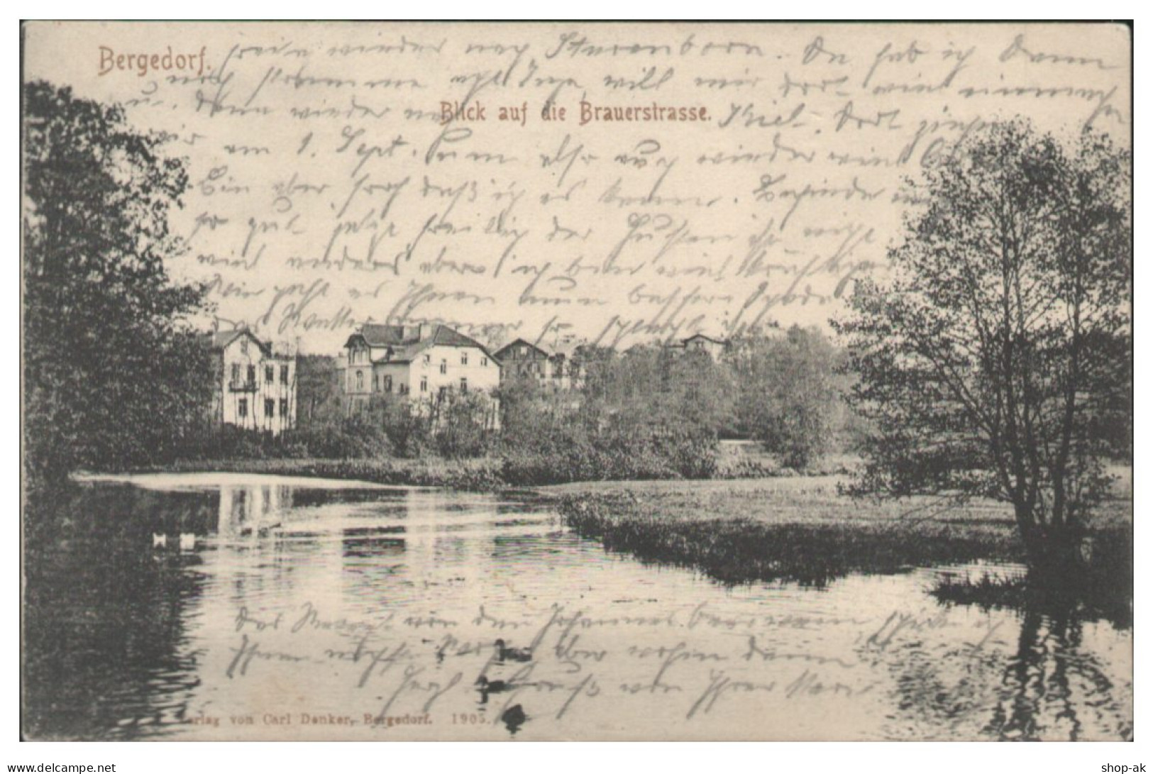 V5899/ Hamburg Bergedorf Blick Auf Die Brauerstr. AK 1907 - Bergedorf