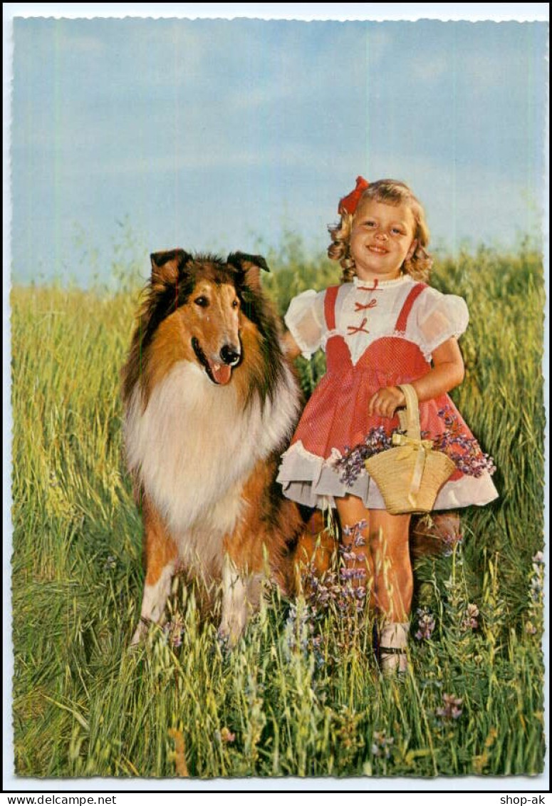 Y2693/ Mädchen Mit Hund  Collie Schöne AK Ca.1965 - Honden