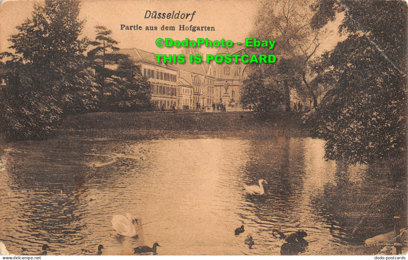 R428493 Dusseldorf. Partie Aus Dem Hofgarten. 1907 - Mondo