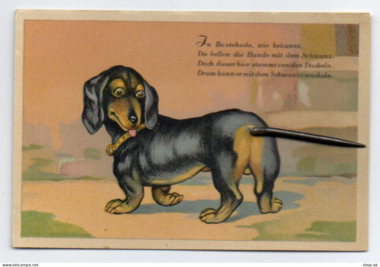 W9N77/ Dackel Karte Zum Aufstellen Litho Ca.1920  Keine AK - Perros