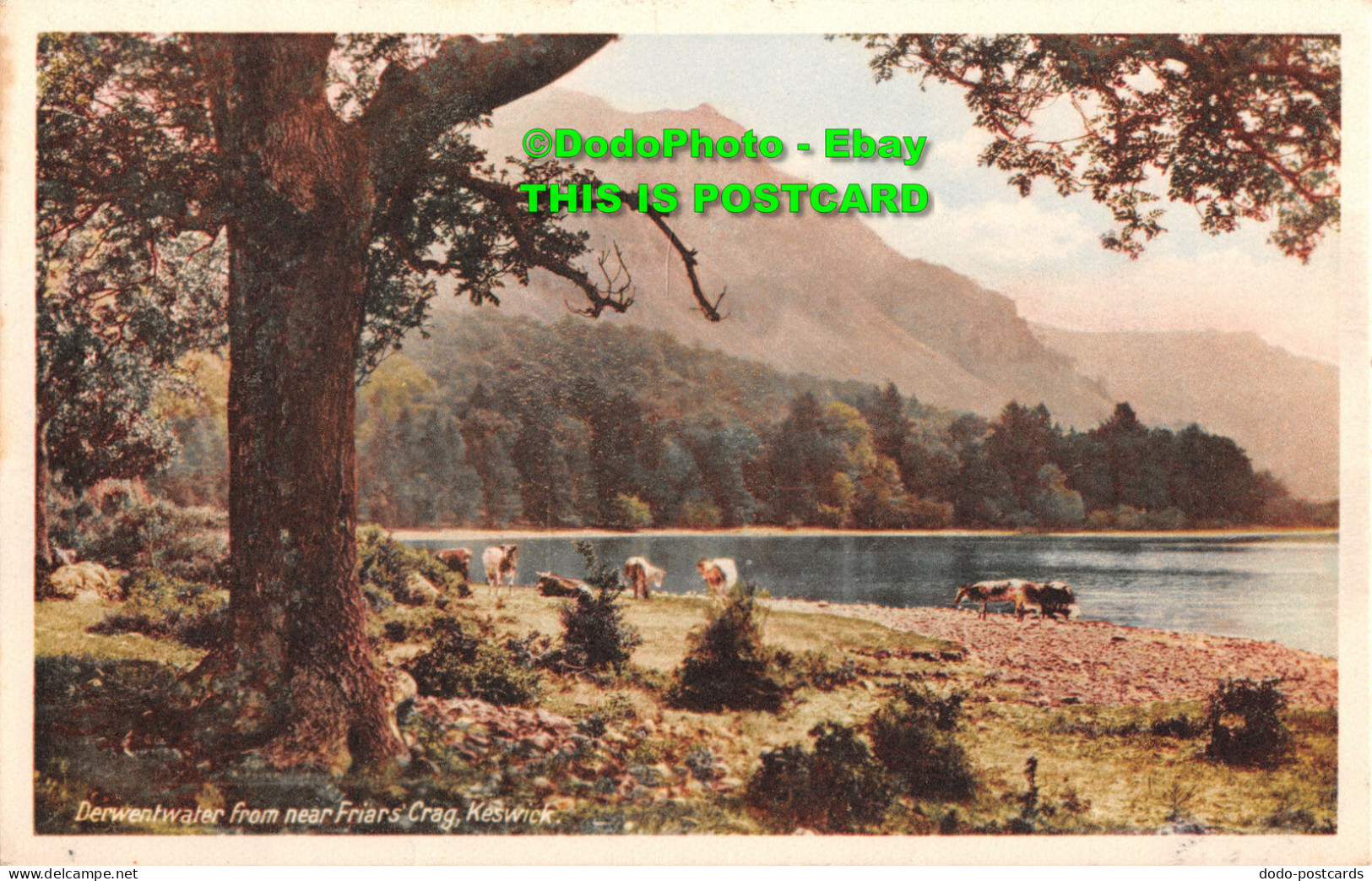 R428509 Keswick. Derwentwater From Near Friar Crag - Mondo