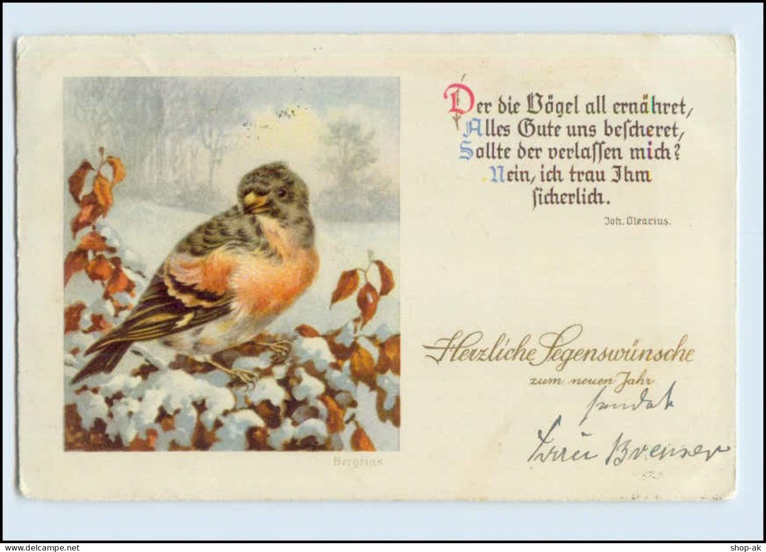 P3M77/ Neujahr Singvogel Vögel Schöne AK 1935 - Honden
