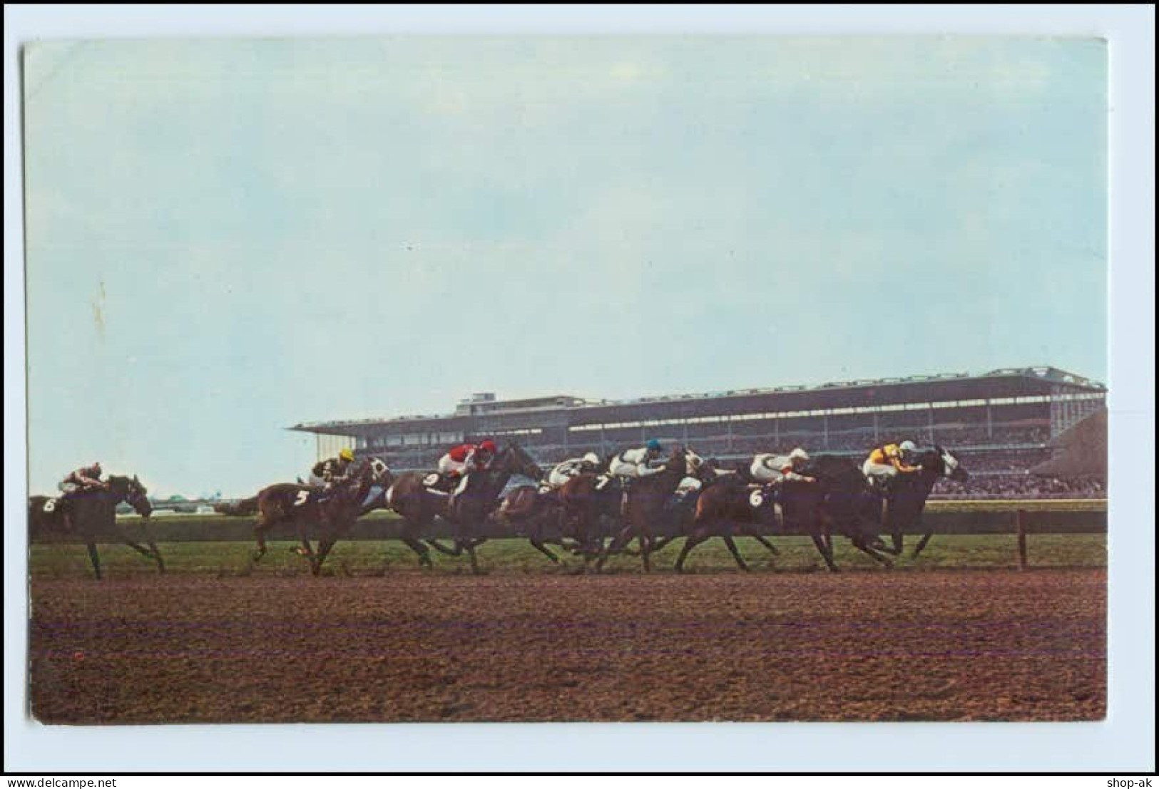 W8X68/ Pferderennen Horse Racing Thoroughbreds Long Island  USA 1965 - Sonstige & Ohne Zuordnung