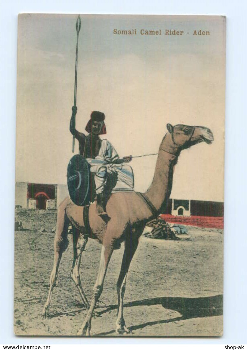 T7639/ Aden Jemen Soamli Camel Rider AK Ca.1912 - Andere & Zonder Classificatie