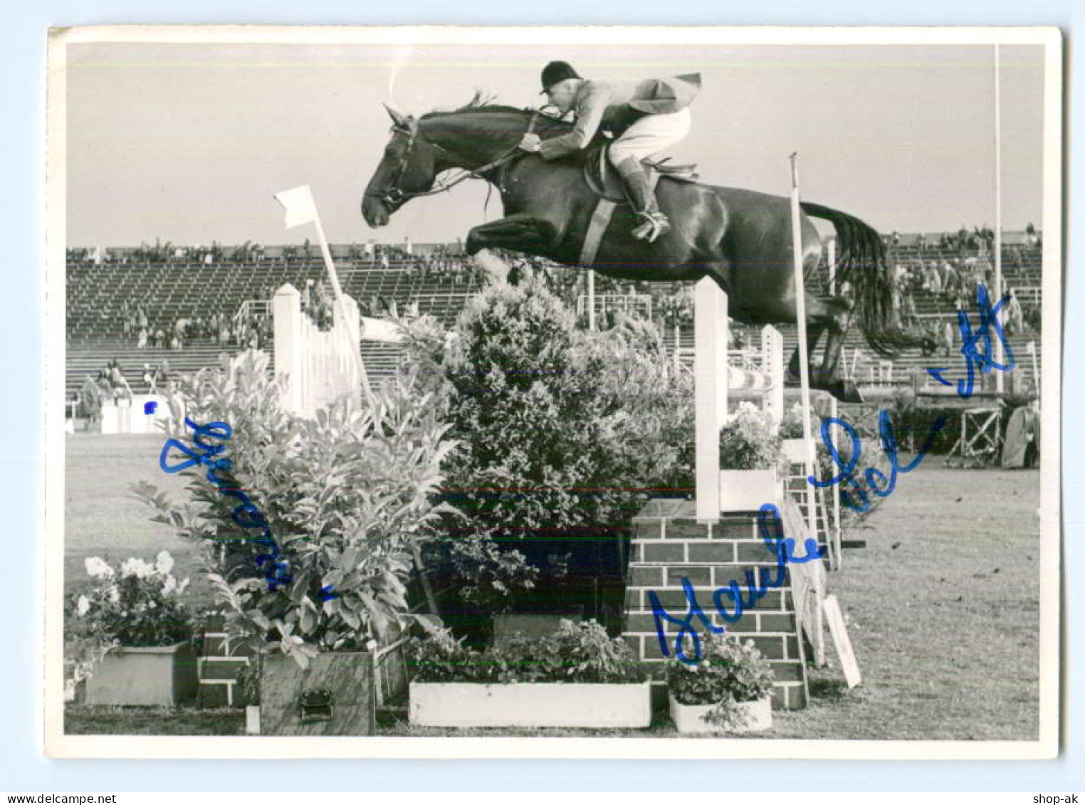 T7649/ Hauke Schmidt Autogramm  Schöne AK Reitsport - Sonstige & Ohne Zuordnung