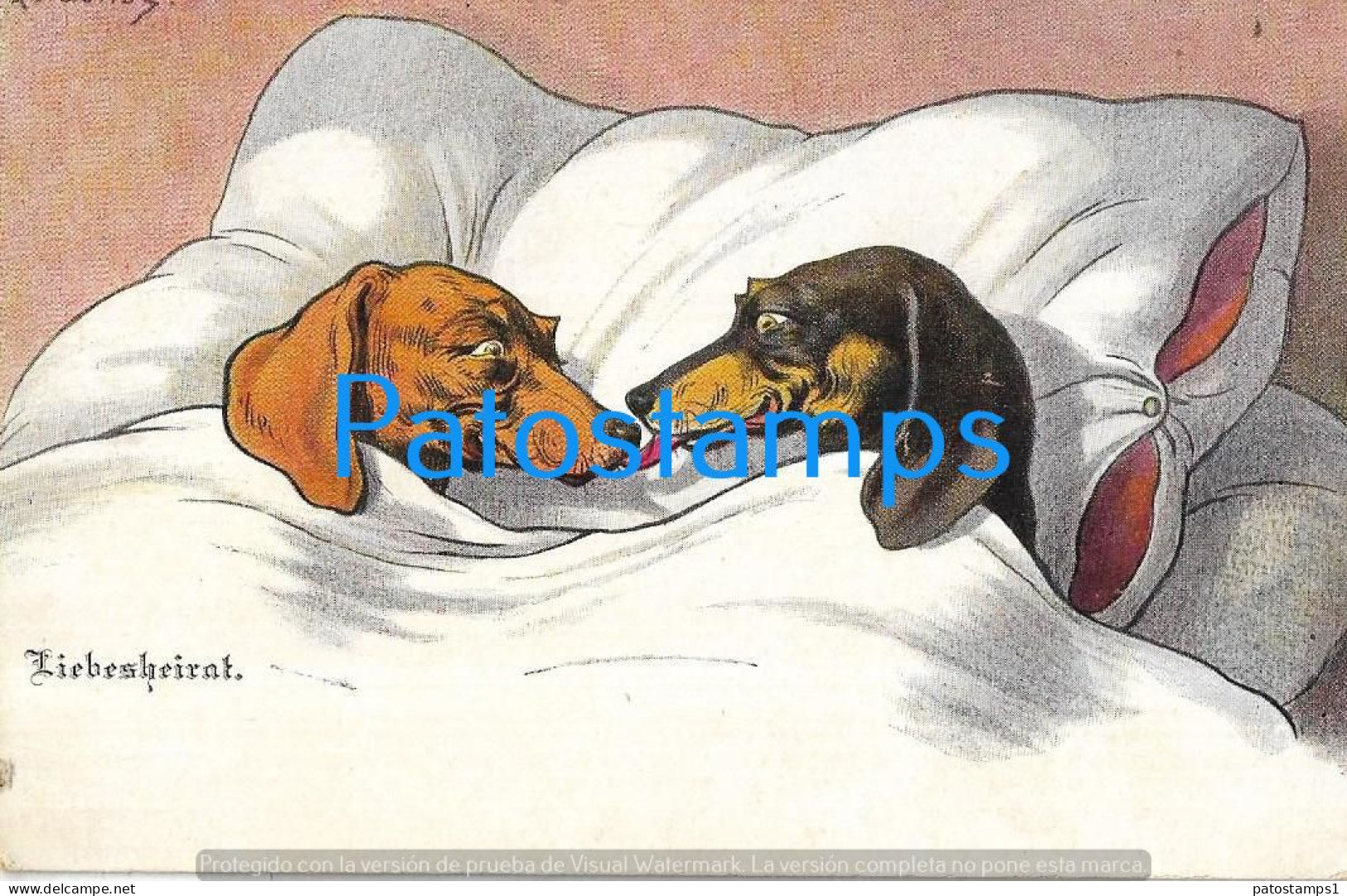 227336 ART ARTE COUPLE DOG SAUSAGE IN BED POSTAL POSTCARD - Ohne Zuordnung