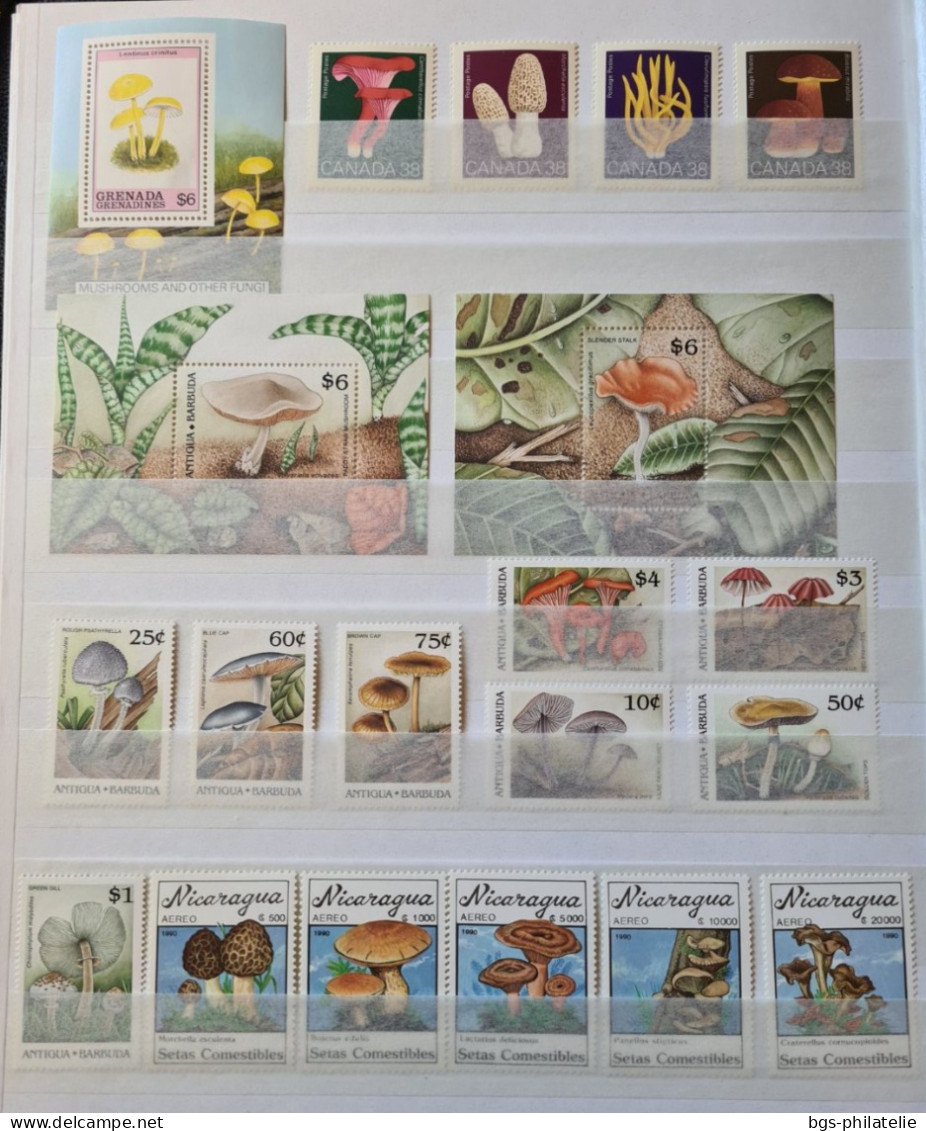 Collection De Timbres Sur Le Thème Des Champignons. - Collezioni (senza Album)