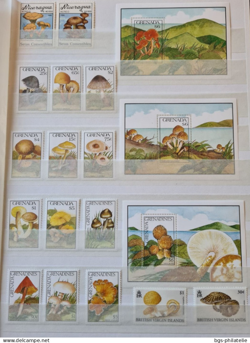 Collection De Timbres Sur Le Thème Des Champignons. - Collections (sans Albums)