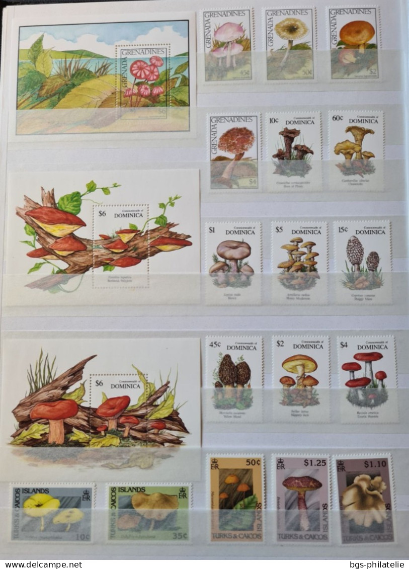 Collection De Timbres Sur Le Thème Des Champignons. - Sammlungen (ohne Album)