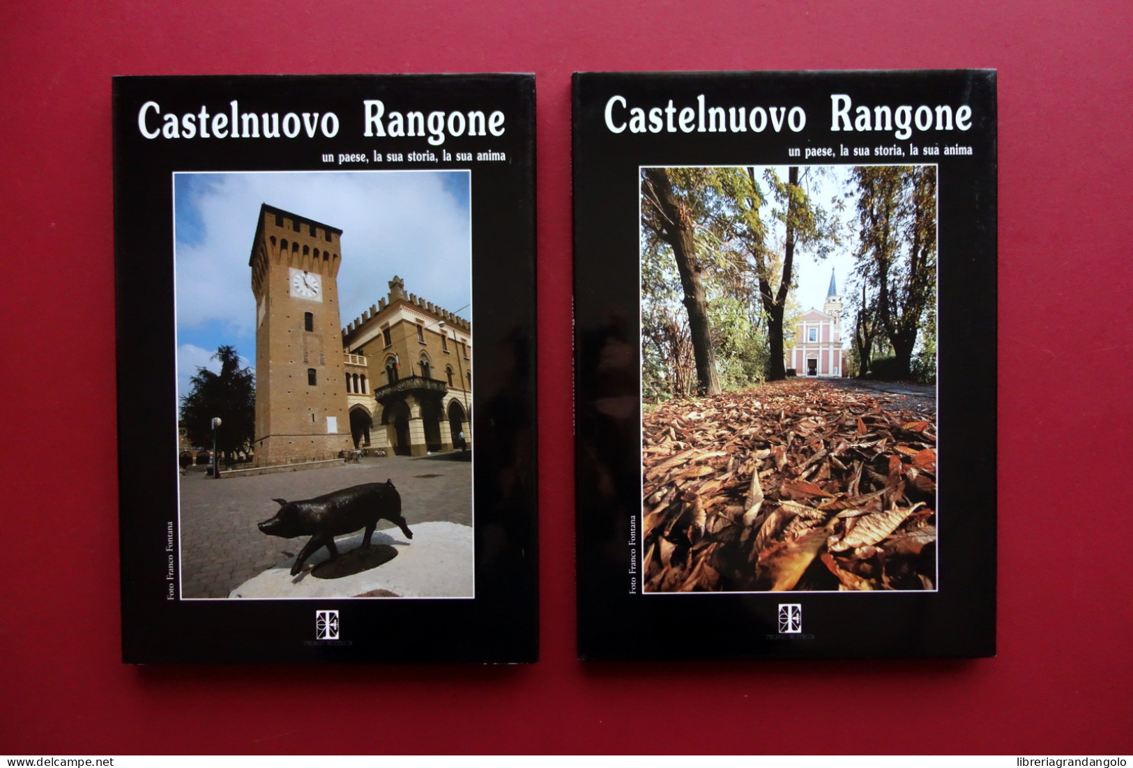Castelnuovo Rangone Telesio Editrice 1999 Fotografie Franco Fontana 2 Volumi - Ohne Zuordnung