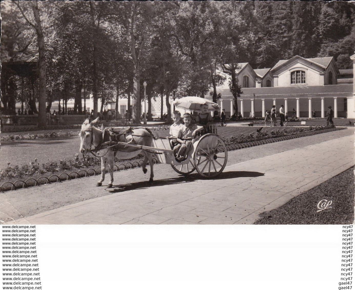 CPSM/pf  (31)  LUCHON.  Promenade Des Enfants, Attelage Avec Un âne ...T721 - Luchon