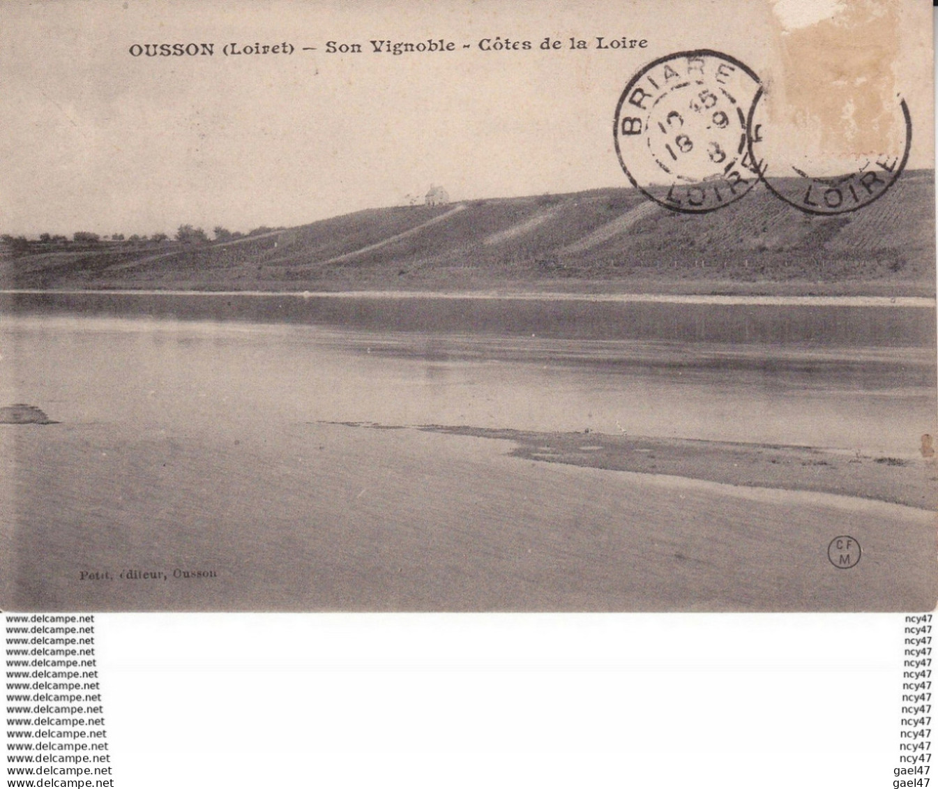 CPA  (45). OUSSO.  Son Vignoble, Côtes De La Loire, Vignes. ...D067 - Autres & Non Classés