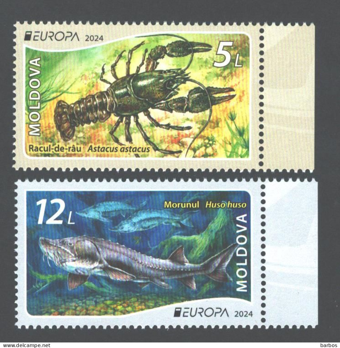 Moldova ,  Europa  2024 Underwater Flora And Fauna,  Fish, Crayfish , 1 Set, MNH - Moldawien (Moldau)