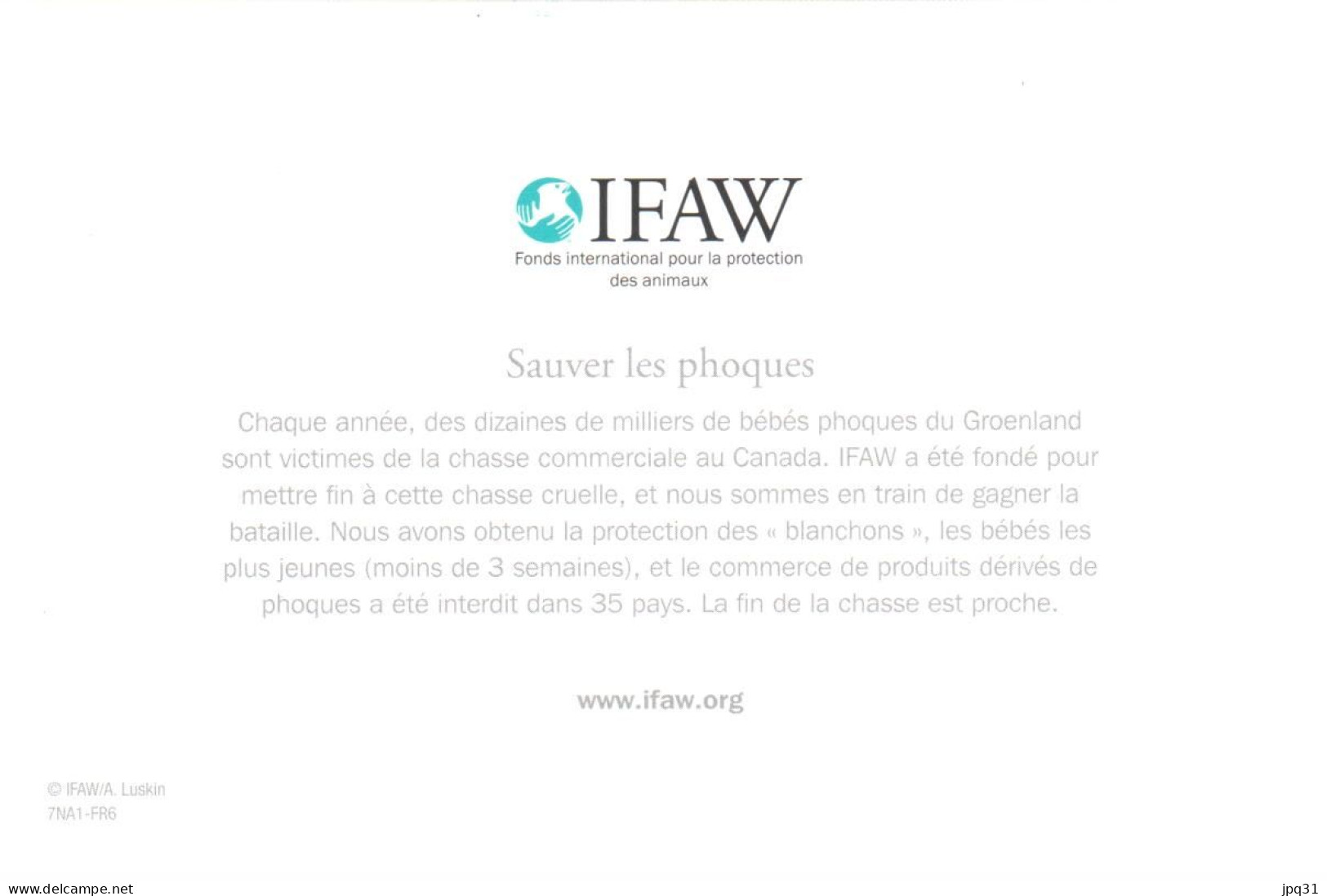 Carte Double IFAW Sauver Les Phoques - Ref 7NA1-FR6 - Andere & Zonder Classificatie