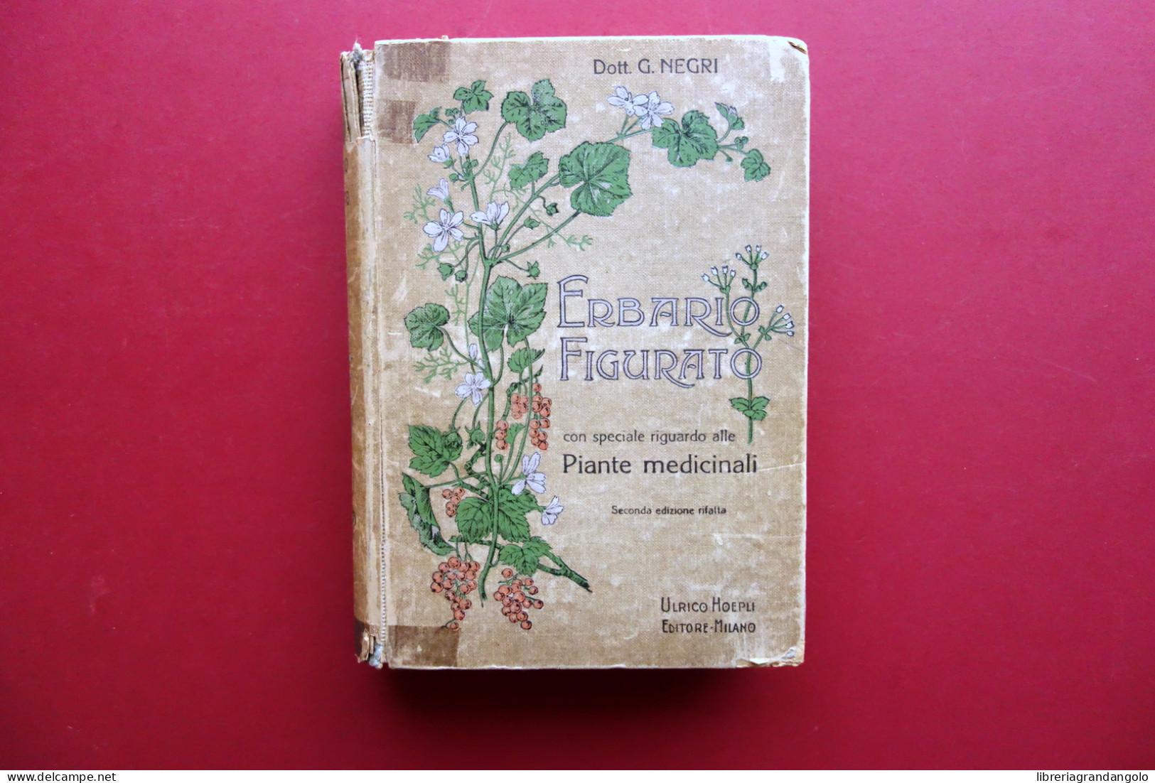 Erbario Figurato Con Riguardo Alle Piante Medicinali Hoepli Milano 1923 2° Ediz. - Ohne Zuordnung